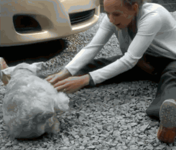 「经济日报」这世界，总有人在默默地爱着你