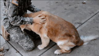 「经济日报」这世界，总有人在默默地爱着你