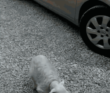 「经济日报」这世界，总有人在默默地爱着你