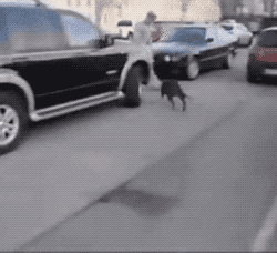 「经济日报」这世界，总有人在默默地爱着你