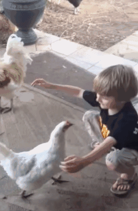 「经济日报」这世界，总有人在默默地爱着你