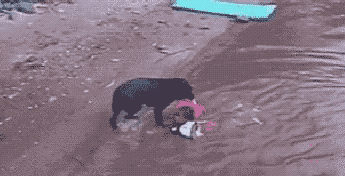 「经济日报」这世界，总有人在默默地爱着你