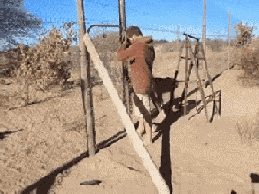 「经济日报」这世界，总有人在默默地爱着你