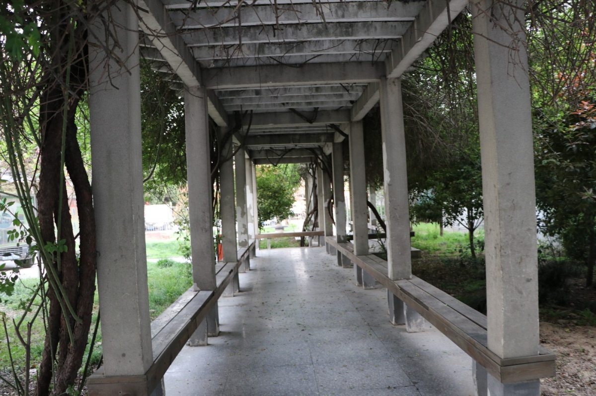 相识20周年再见蒙城师范满满的回忆分享感动