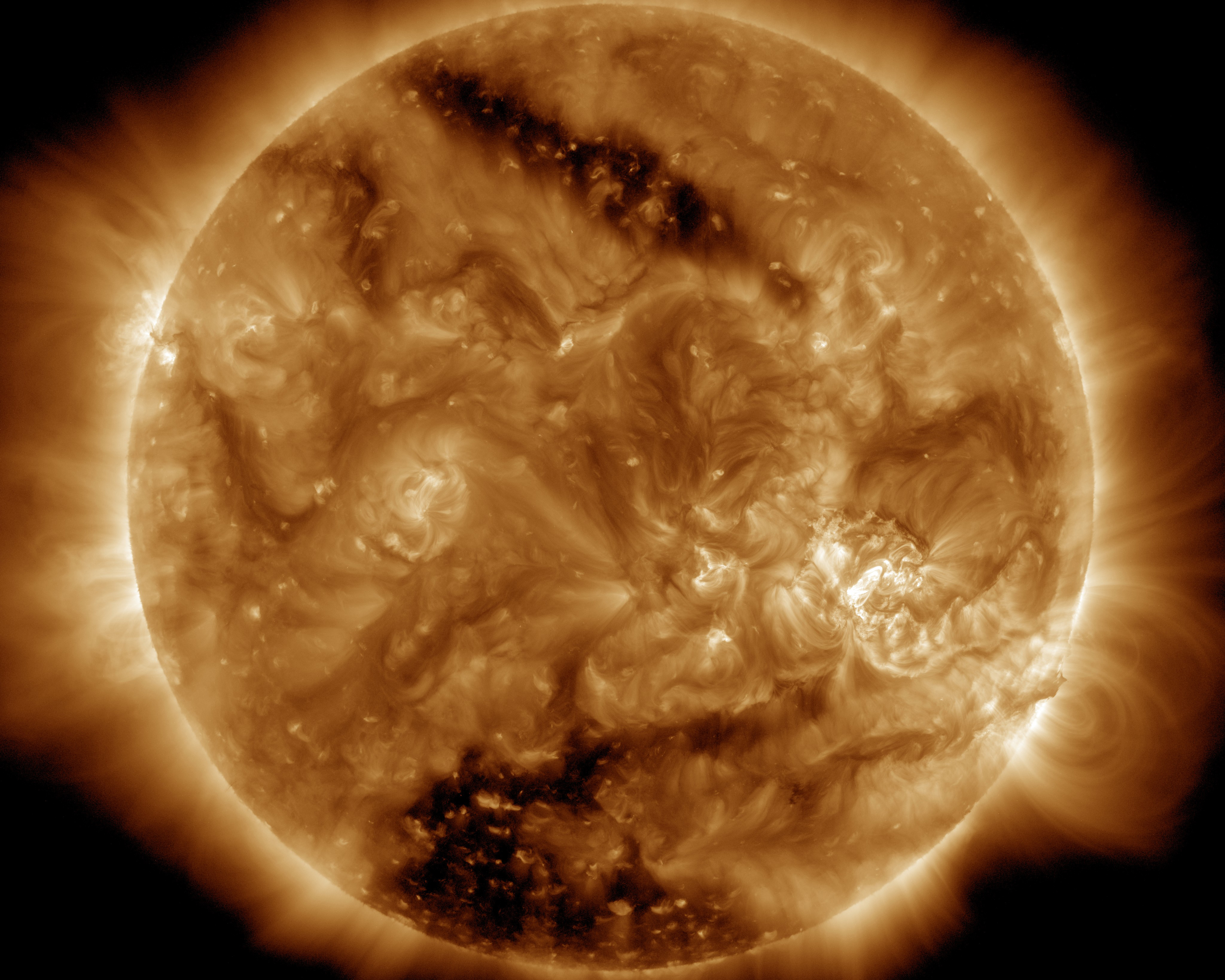 太阳拱金星图片