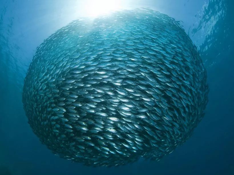 经济日报@拯救地球三件事