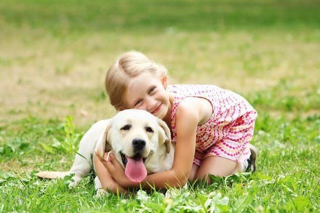 「小宠一家」一碰狗狗的脚掌就立马“逃离”，原因有5点，看完真的情有可原