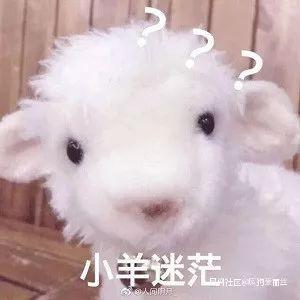 「南国今报」哈哈哈哈，日本又跟着我们“欢度中秋，喜迎国庆”了