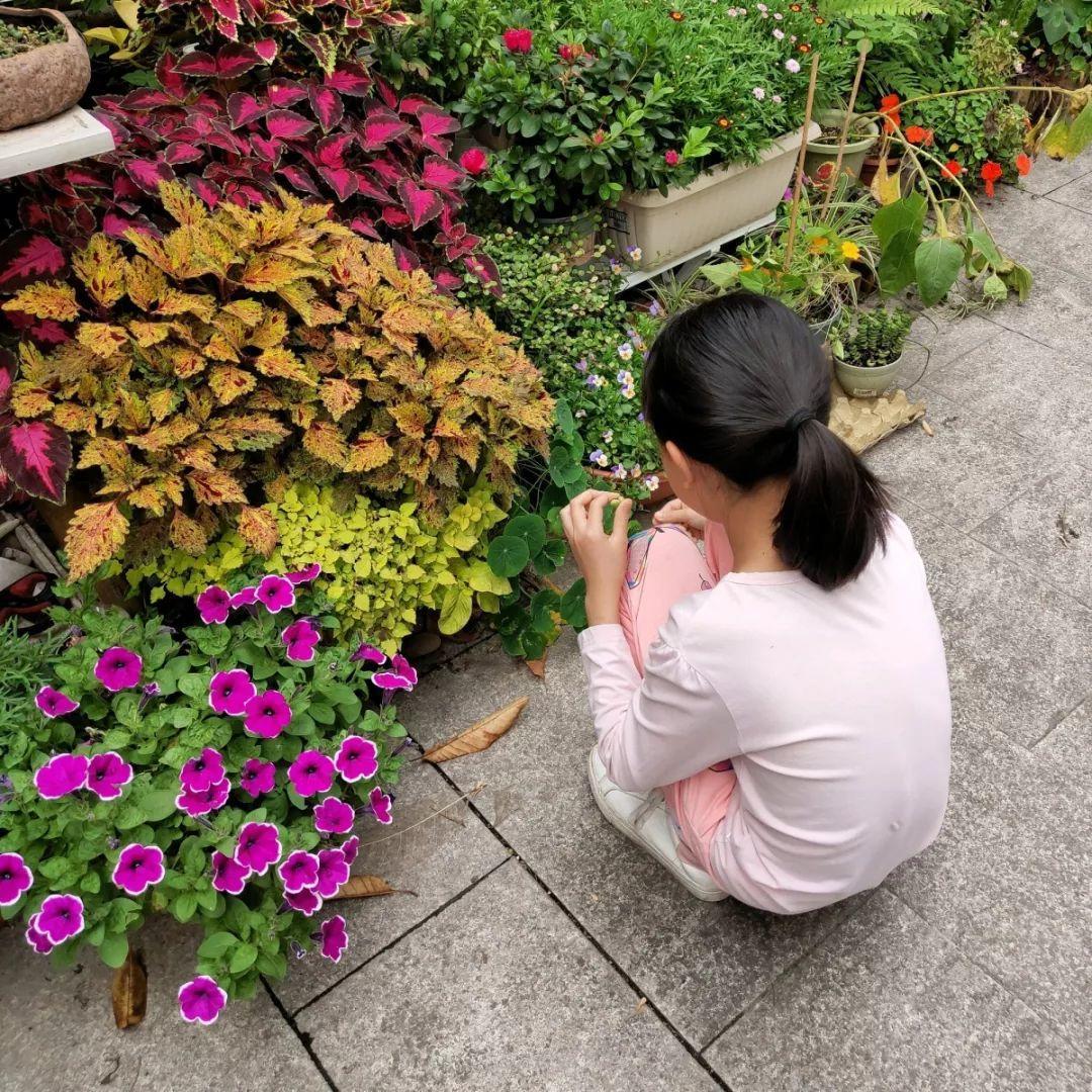 [养花大全]9月份逛花市，这花最好看、最好养，放心抱回家！