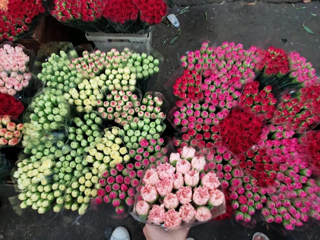 [养花大全]9月份逛花市，这花最好看、最好养，放心抱回家！