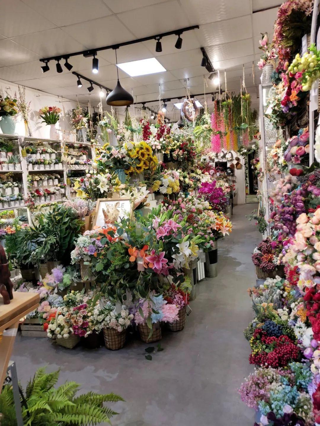 [养花大全]9月份逛花市，这花最好看、最好养，放心抱回家！