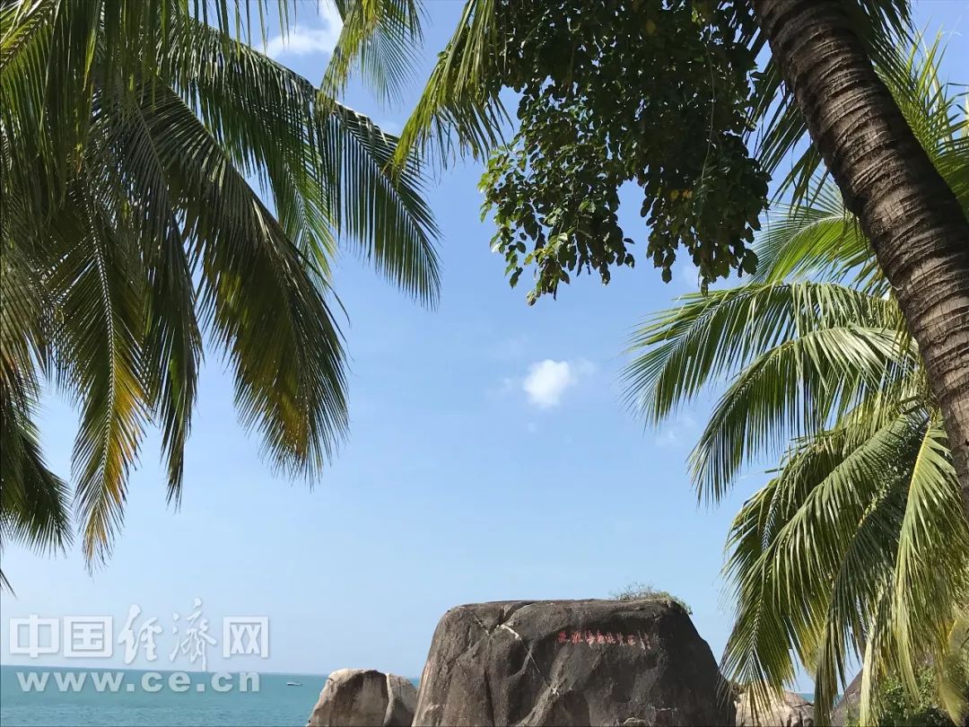 中国经济网：一家人，什么最重要？丨可读