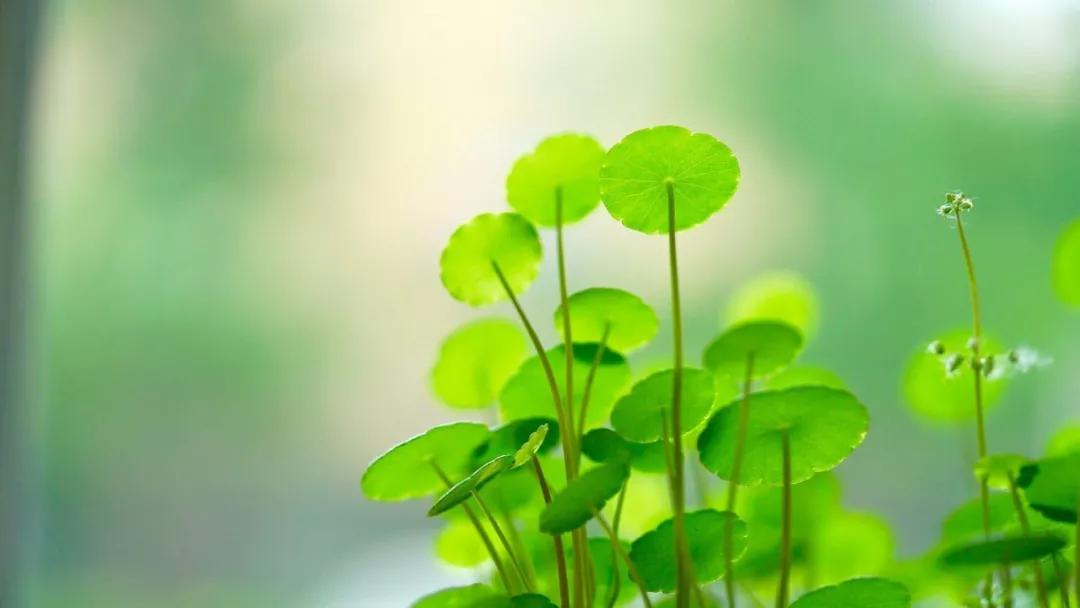 经济日报@遇事的第一反应，藏着你的见识和格局