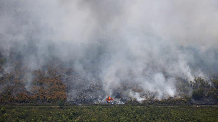 「环球时报」民众焚烧森林，印尼婆罗洲岛遭遇严重空气污染