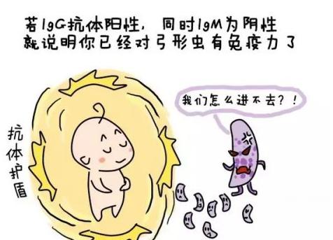 #养狗百科#来自准爸妈的担忧：家有孕妇小孩后，还可以养狗吗？