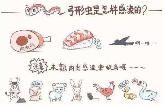 #养狗百科#来自准爸妈的担忧：家有孕妇小孩后，还可以养狗吗？