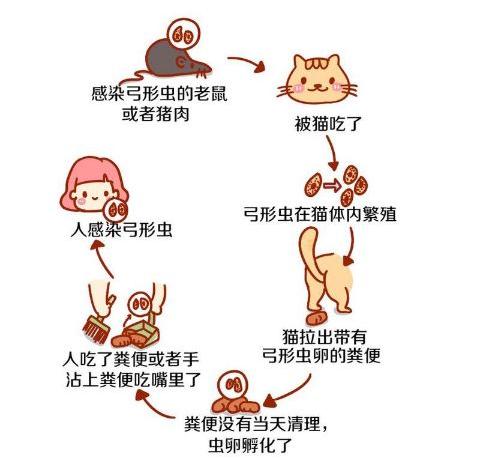 #养狗百科#来自准爸妈的担忧：家有孕妇小孩后，还可以养狗吗？