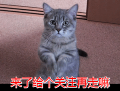 #养狗百科#来自准爸妈的担忧：家有孕妇小孩后，还可以养狗吗？