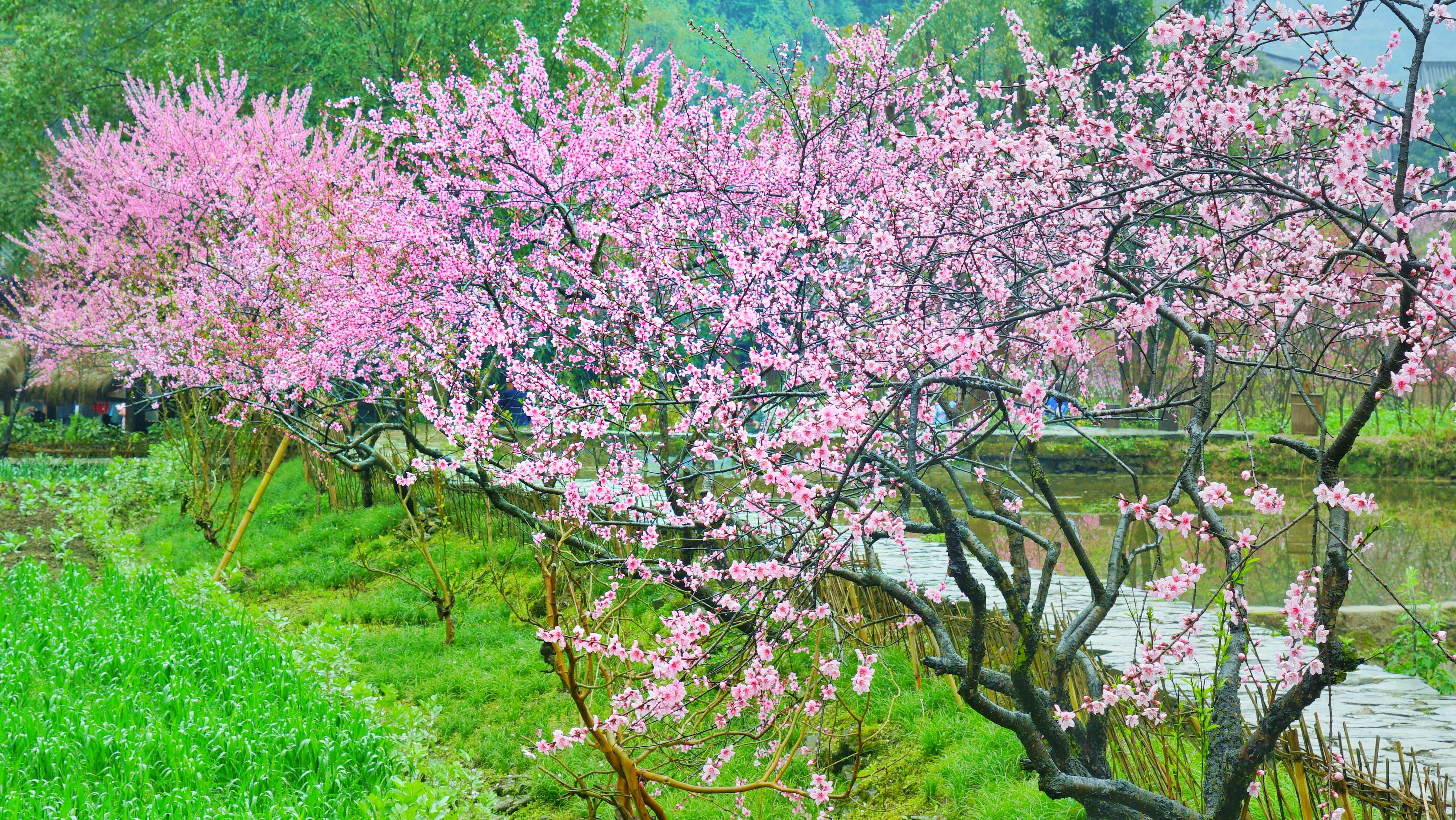 湖南最宜居的城市深藏在山水之间被誉为桃花源里的城市