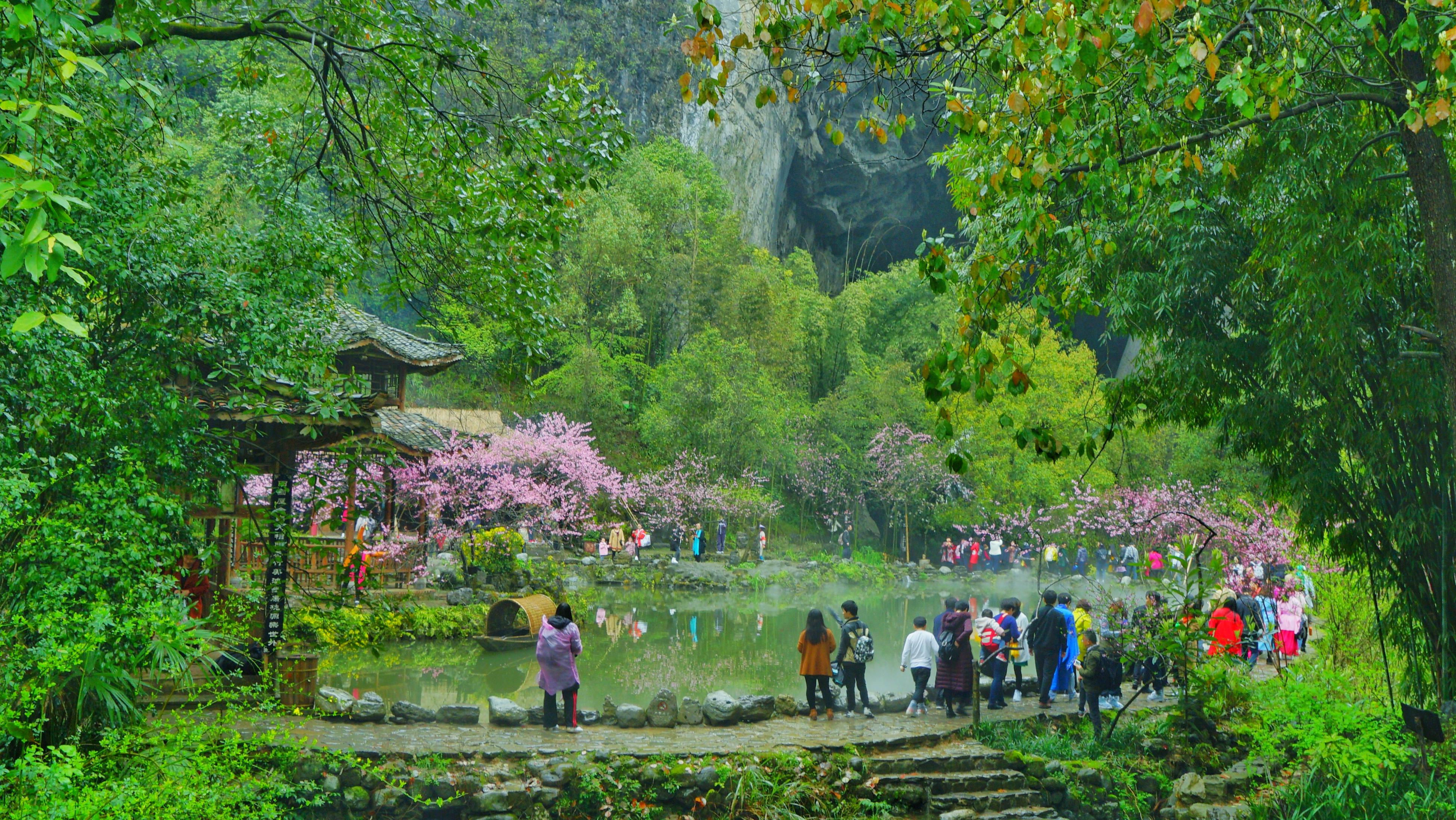 湘遇桃花源图片