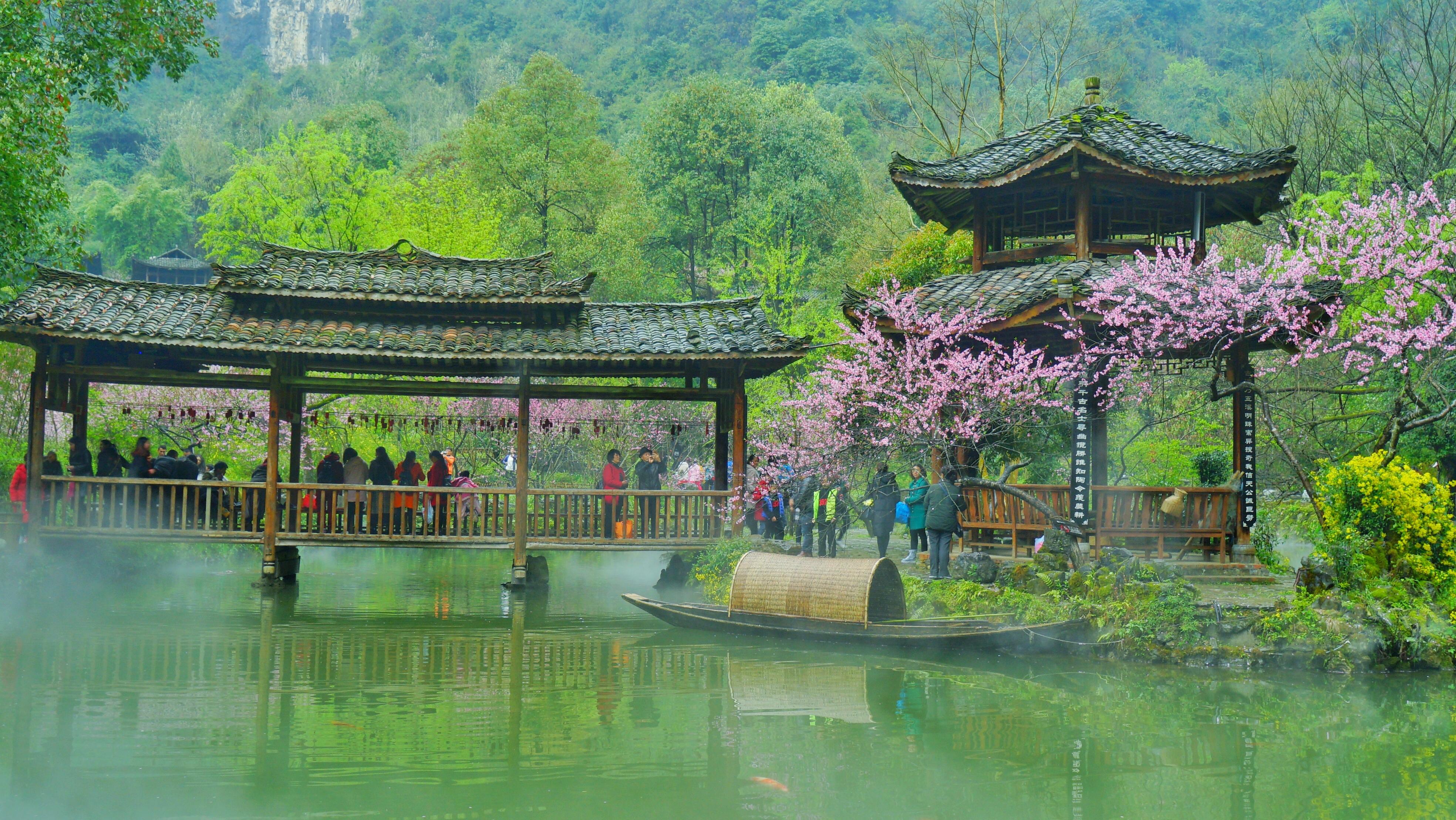 湘遇桃花源图片