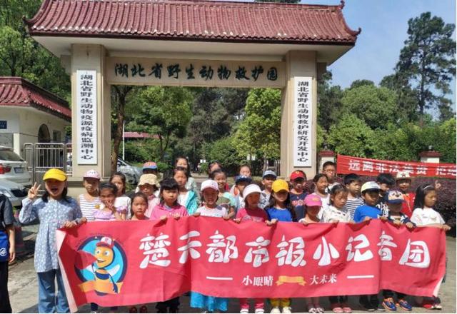 楚天都市报@家有萌娃的看过来！一次参加，终身受益