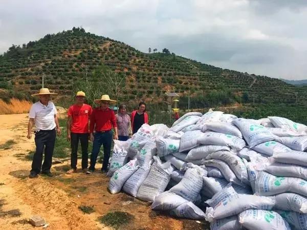 中国农科新闻网：传统的，商品的，生物的，哪种有机肥最适合果园施用？