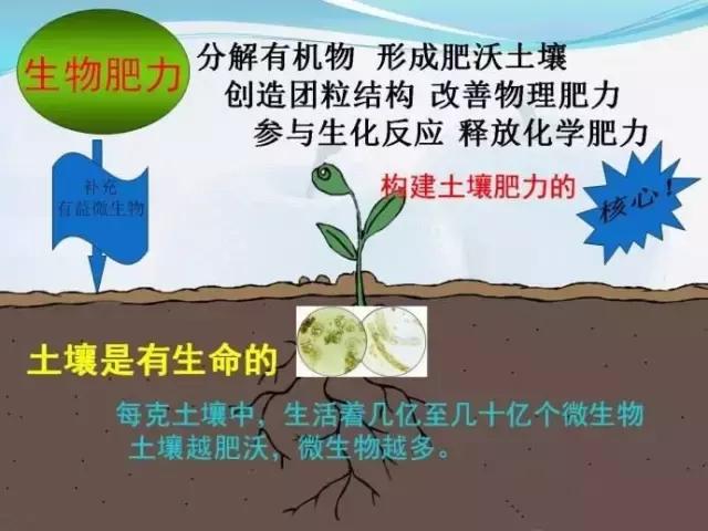 中国农科新闻网：传统的，商品的，生物的，哪种有机肥最适合果园施用？