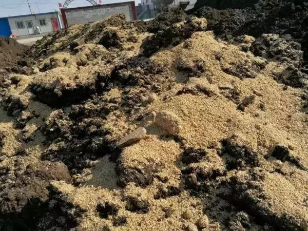 中国农科新闻网：传统的，商品的，生物的，哪种有机肥最适合果园施用？
