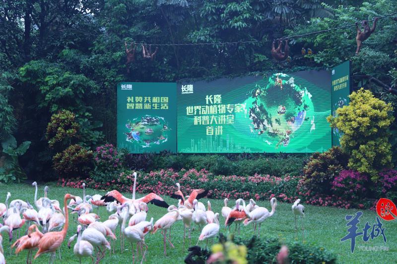 [羊城派]全国科普日开讲啦！全球珍稀动物亮相，还有千人大巡游