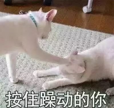 半岛晨报■一年烧掉一套房！比炒鞋还烧钱的“盲盒”，狂赚39倍？