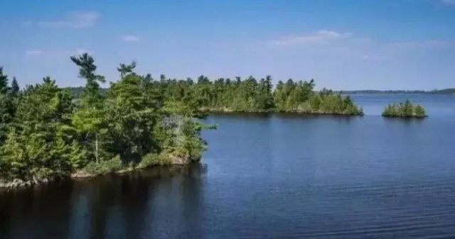 【半岛晨报】女子买下网红小岛度假遇袭！凶手竟然是……