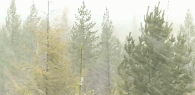 【半岛晨报】有地方已经下雪！下半年影响范围最广冷空气来袭