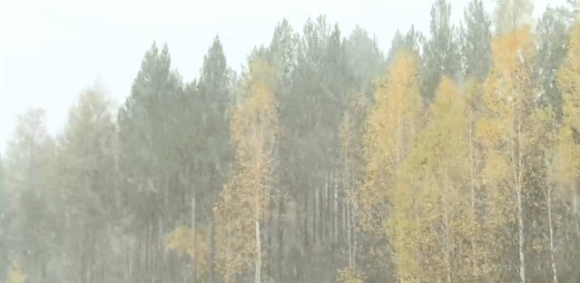 【半岛晨报】有地方已经下雪！下半年影响范围最广冷空气来袭