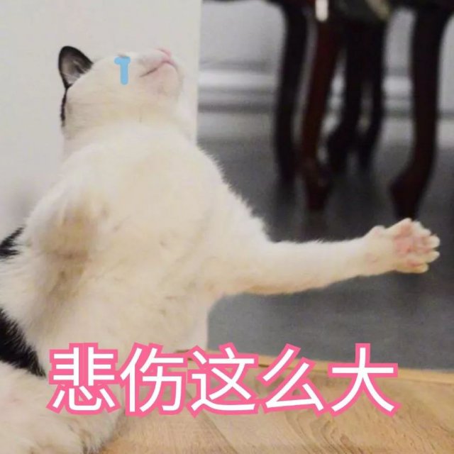 【半岛晨报】有地方已经下雪！下半年影响范围最广冷空气来袭