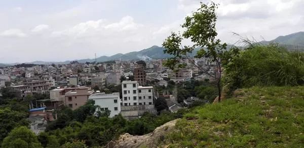 (每年农历十月十五丰顺县埔寨镇的各界人士都到坎头山举行纪念活动,让