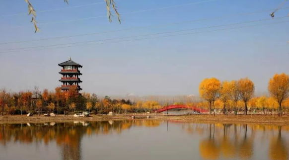 临颍县黄龙湿地公园,秋天就是这么美!