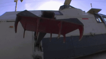 差评■为了拍龙卷风，这群摄影师连命都不要了