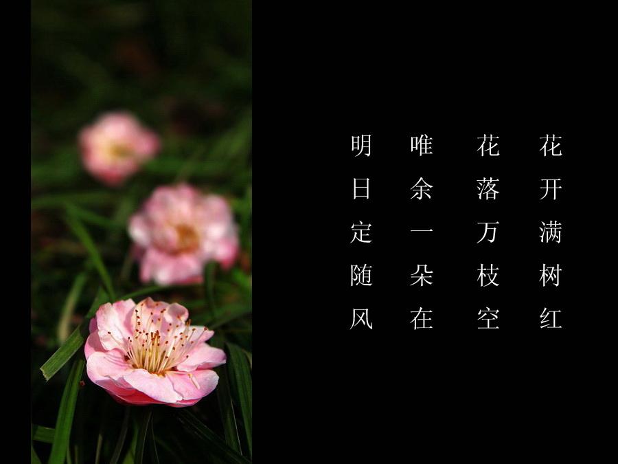 宋代戒珠所编《净土往生传》记载,陈知玄在广明二年(881)受赐为国师