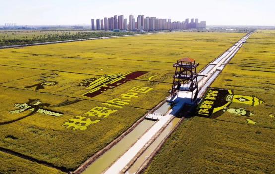 大众日报：“全国媒体看西青”，感受天津宜居宜业宜游新城镇