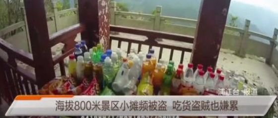 「半岛晨报」海拔800米景区，顶峰一小摊竟被小偷盯了两年！