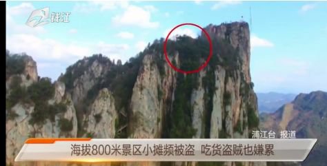 「半岛晨报」海拔800米景区，顶峰一小摊竟被小偷盯了两年！