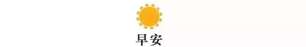 #手机中国网#「2019.09.19」轻松早茶
