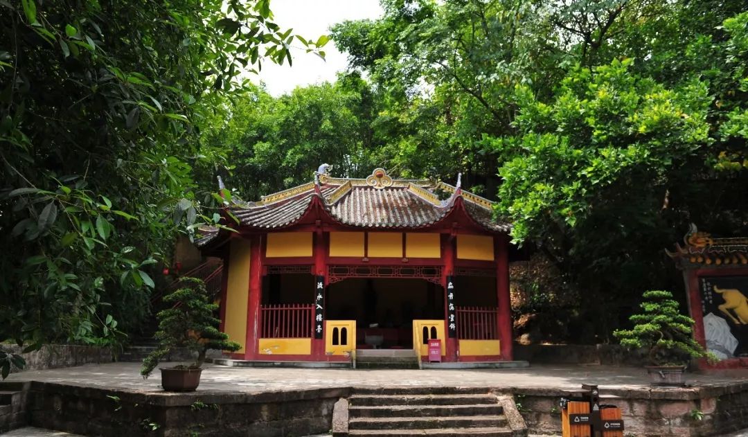 双桂山国家森林公园两棵千年桂树坐落在山上,双桂山国家森林公园就