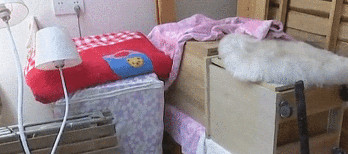 中国质量万里行@通过中介租房，3个月后中介、租客全“消失”，一开门女子懵了