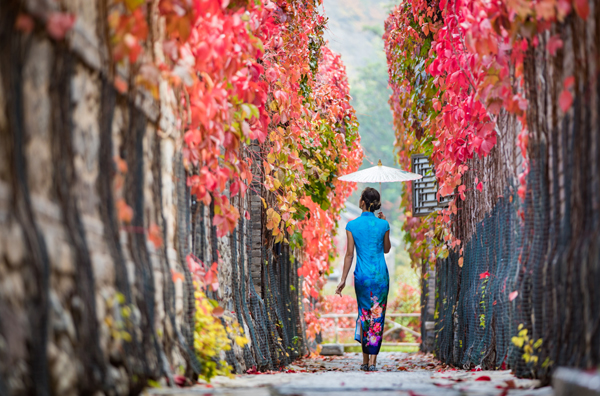 【天津在线】古北水镇?司马台长城2019年天津推介会成功举办