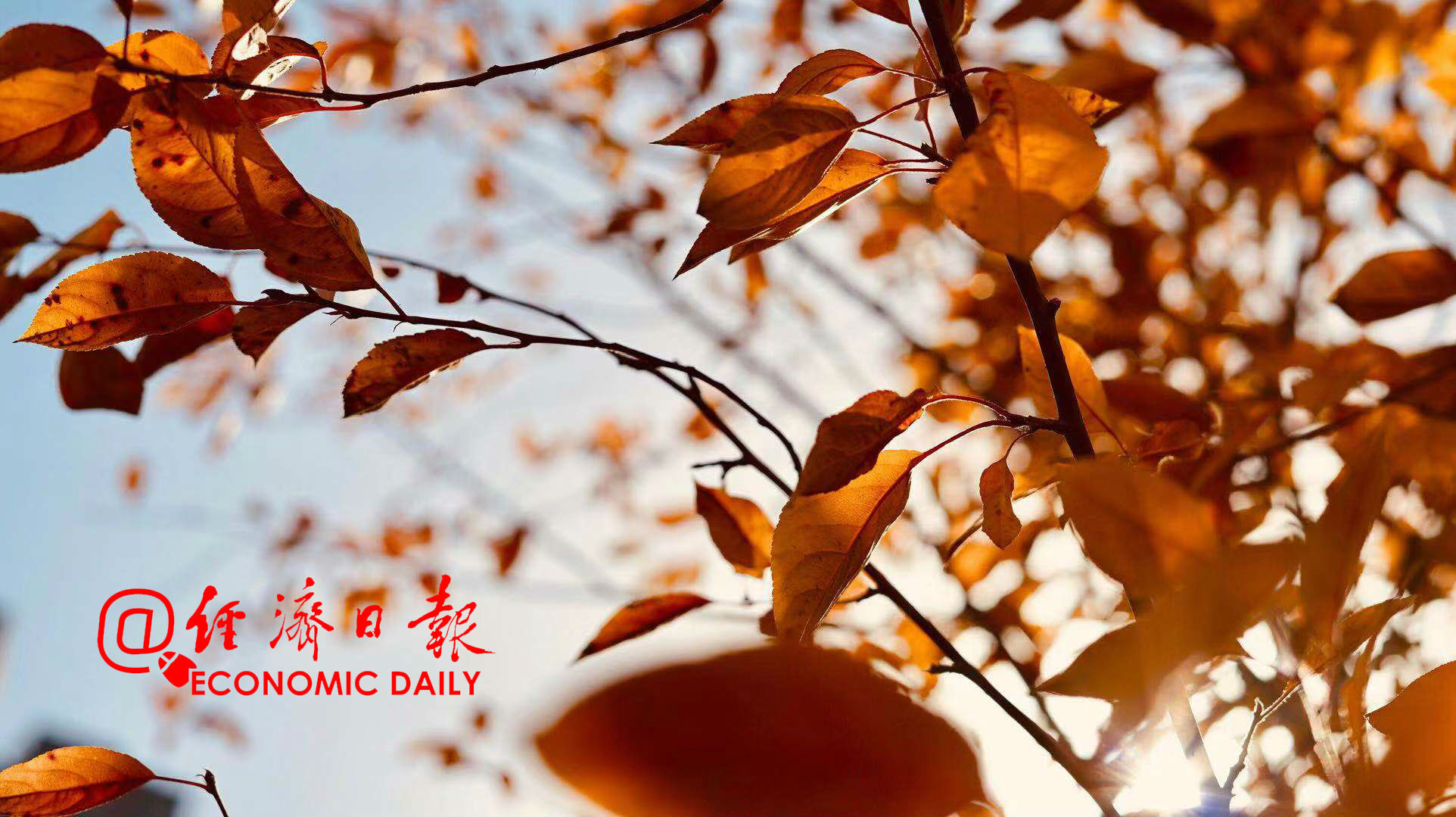 经济日报@23日迎“秋分”：暑退秋澄转爽凉，日光夜色两均长