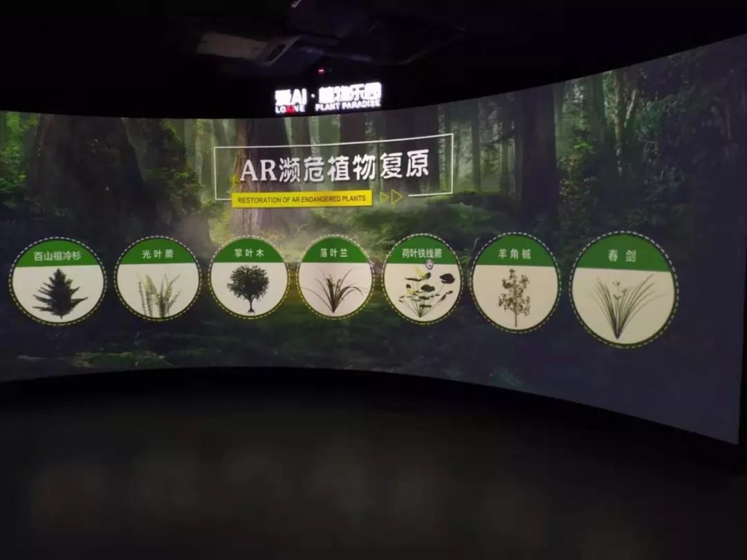 北京教育播报矩阵@周末去哪儿？北京世园会“爱（AI）乐园”体验一场视听盛宴｜播报