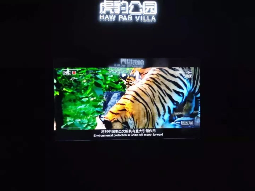 北京教育播报矩阵@周末去哪儿？北京世园会“爱（AI）乐园”体验一场视听盛宴｜播报