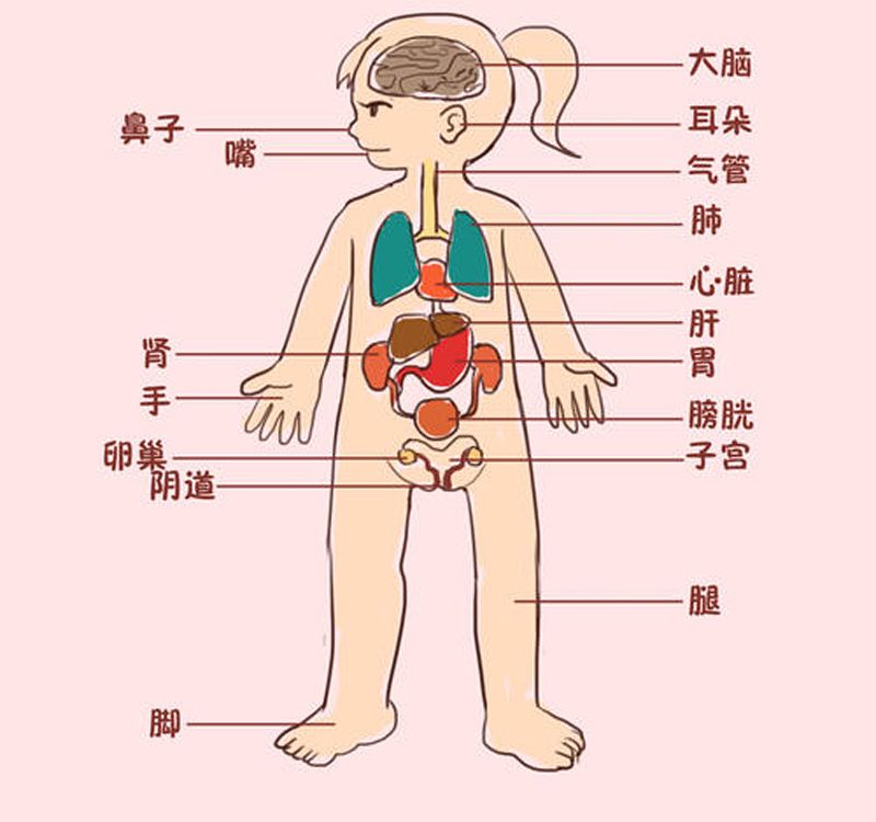 未成年女孩的性发育期家长根据年龄来教育能够事半功倍